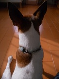 2013.2.22-1.JPG